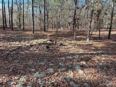 3117 Timrod Rd, Bethune, SC 29009 photo 12