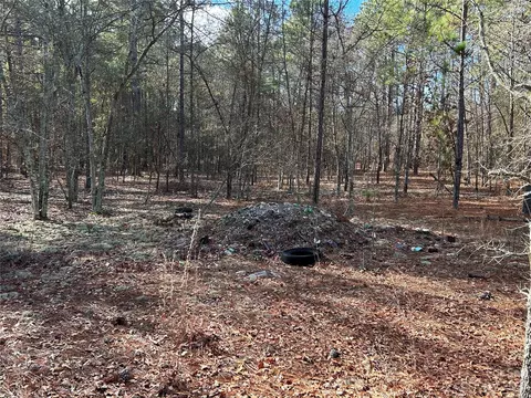 3117 Timrod Rd, Bethune, SC 29009 photo 9