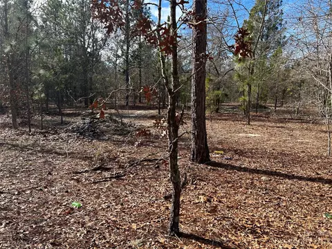 3117 Timrod Rd, Bethune, SC 29009 photo 4