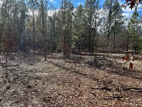 3117 Timrod Rd, Bethune, SC 29009 photo 5