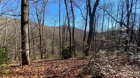 108 Camp Elliott Rd, Black Mountain, NC 28711