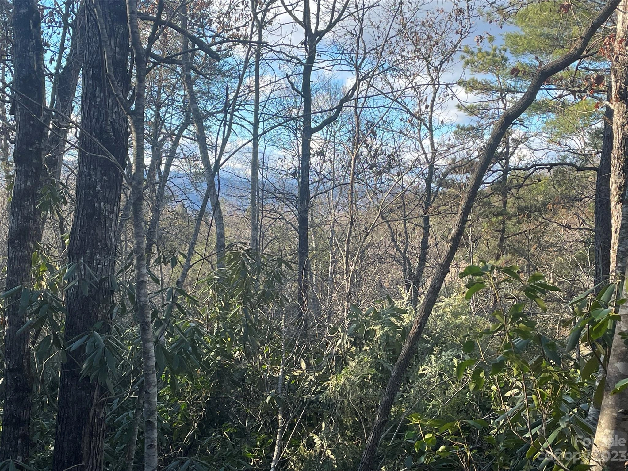 6 Redwood Dr Unit 6B