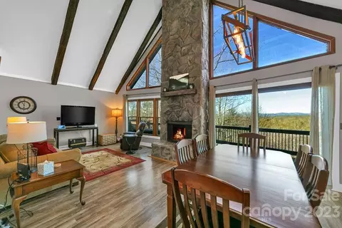 119 Tlugvi Ct, Brevard, NC 28712