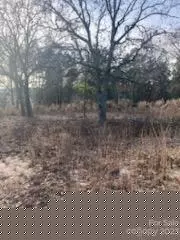 558 S Third St, Mcbee, SC 29101 photo 4