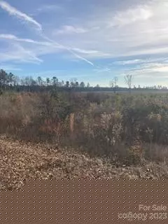 558 S Third St, Mcbee, SC 29101 photo 3