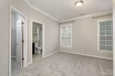 18505 Boulder Rock Loop, Davidson, NC 28036 photo 20