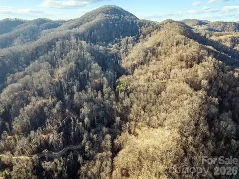 00 Nc 209 Hwy, Spring Creek, NC 28743