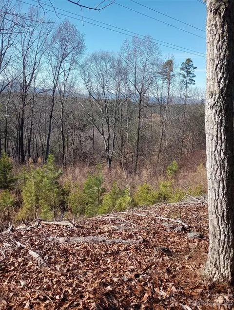 Womack Road, Mill Spring, NC 28756 photo 4
