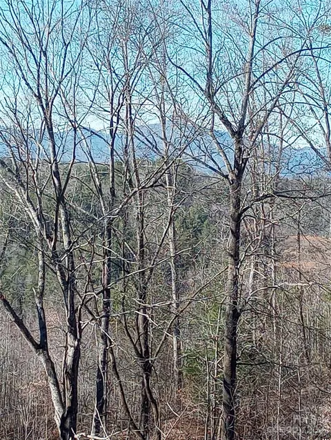 Womack Road, Mill Spring, NC 28756 photo 3