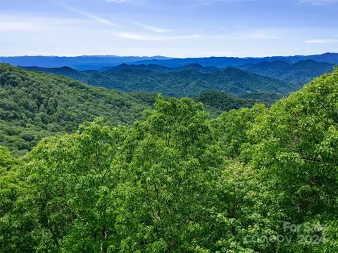 Old Growth Forest Road, Burnsville, NC 28714