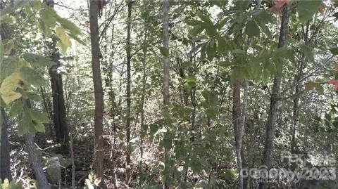 Sunrise Path, Marion, NC 28752 photo 5