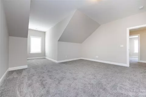 18909 Ruffner Dr, Cornelius, NC 28031 photo 19