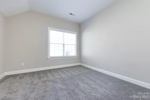 18909 Ruffner Dr, Cornelius, NC 28031 photo 18