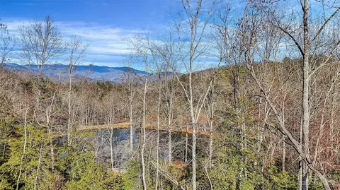 166 Workman 8 9 Rd #8 & 9, Webster, NC 28788 photo 6