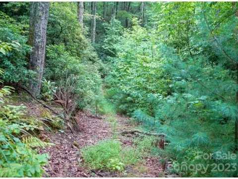 0 Humpback Mountain Rd, Spruce Pine, NC 28777 photo 4