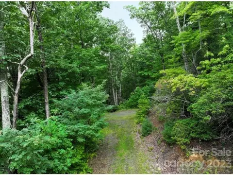0 Humpback Mountain Rd, Spruce Pine, NC 28777 photo 11