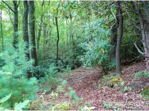 0 Humpback Mountain Rd, Spruce Pine, NC 28777 photo 5