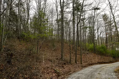 Wykle Road, Asheville, NC 28805