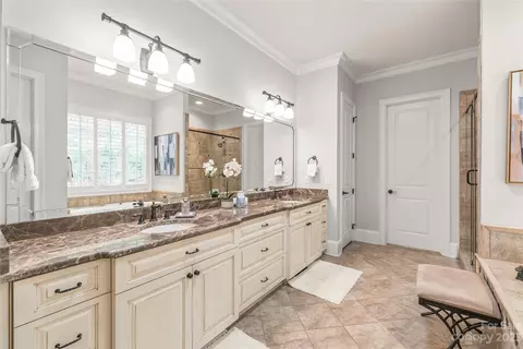 Bath - 13606 Evening Primrose Dr, Davidson, NC 28036 photo 2 of 6