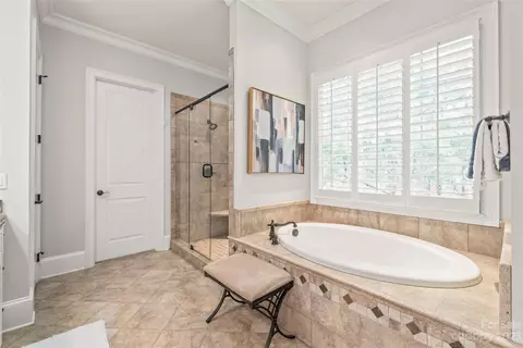 Bath - 13606 Evening Primrose Dr, Davidson, NC 28036 photo 3 of 6