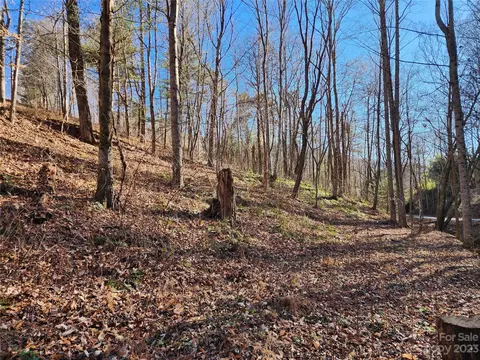 00 Curly Maple 2 Dr #2, Canton, NC 28716