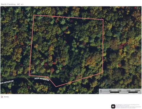 84 Deer Antler Road #84, Purlear, NC 28665 photo 3
