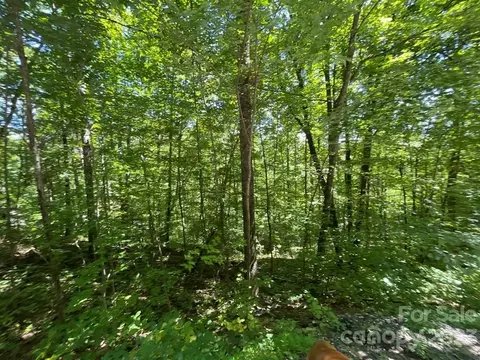 14 Shady Vale 14 Rd #14, Bryson City, NC 28713