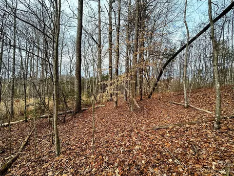 Azalea Way, Saluda, NC 28773 photo 3
