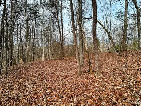 Azalea Way, Saluda, NC 28773