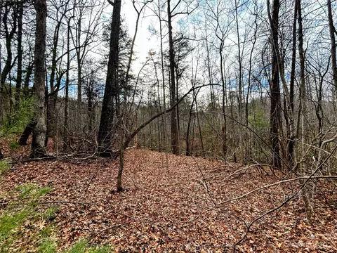 Azalea Way, Saluda, NC 28773 photo 4