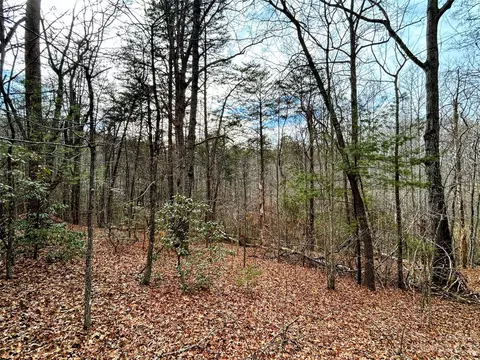 Azalea Way, Saluda, NC 28773 photo 6