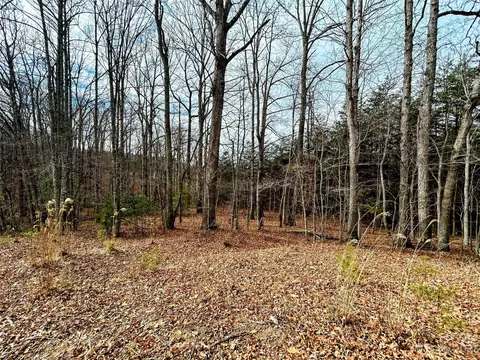 Azalea Way, Saluda, NC 28773 photo 7