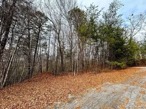 Azalea Way, Saluda, NC 28773 photo 10