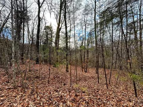 Azalea Way, Saluda, NC 28773 photo 5