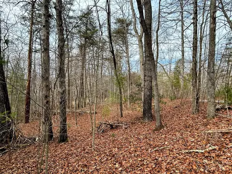 Azalea Way, Saluda, NC 28773 photo 2