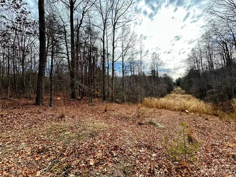 Azalea Way, Saluda, NC 28773 photo 8