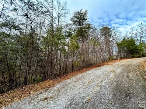 Azalea Way, Saluda, NC 28773 photo 9
