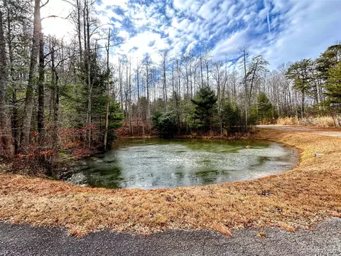 Azalea Way, Saluda, NC 28773 photo 12