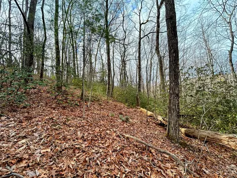 Azalea Way, Saluda, NC 28773 photo 5