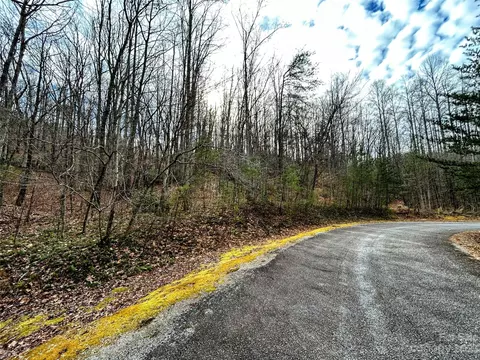 Azalea Way, Saluda, NC 28773 photo 9