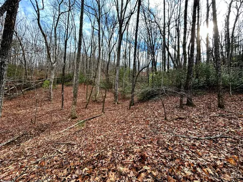 Azalea Way, Saluda, NC 28773 photo 3