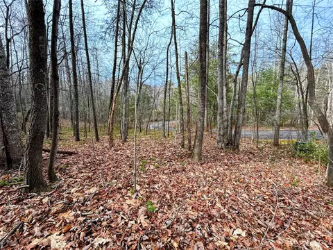 Azalea Way, Saluda, NC 28773 photo 2