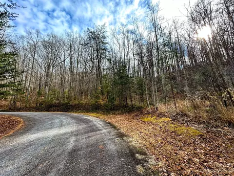 Azalea Way, Saluda, NC 28773 photo 8