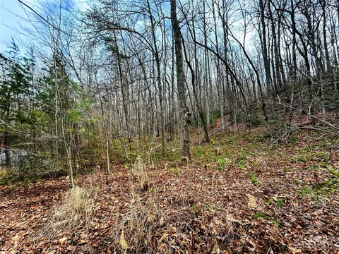 Azalea Way, Saluda, NC 28773 photo 4