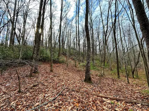 Azalea Way, Saluda, NC 28773 photo 6