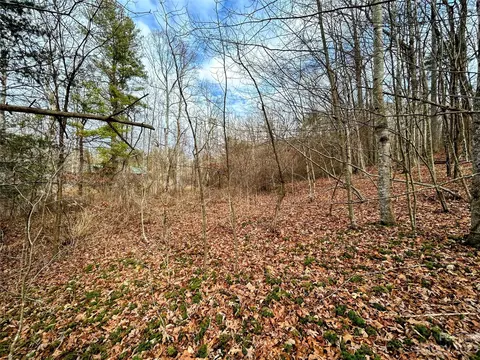 Azalea Way, Saluda, NC 28773 photo 4