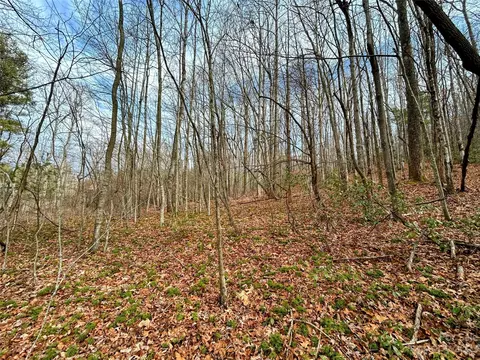 Azalea Way, Saluda, NC 28773 photo 3