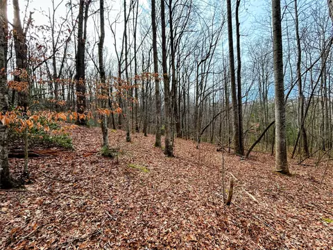 Azalea Way, Saluda, NC 28773 photo 7