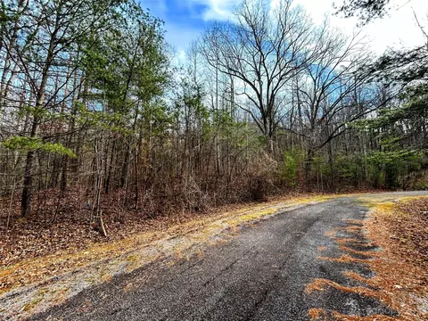 Azalea Way, Saluda, NC 28773 photo 8