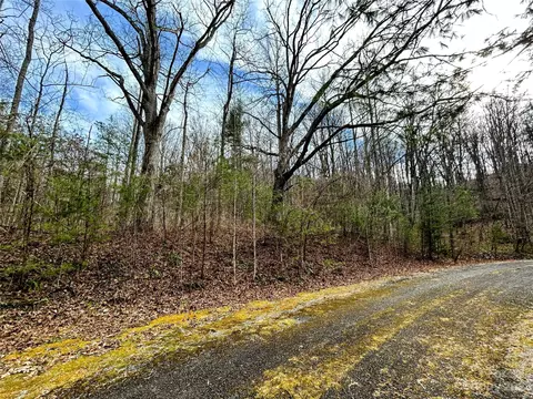Azalea Way, Saluda, NC 28773 photo 10